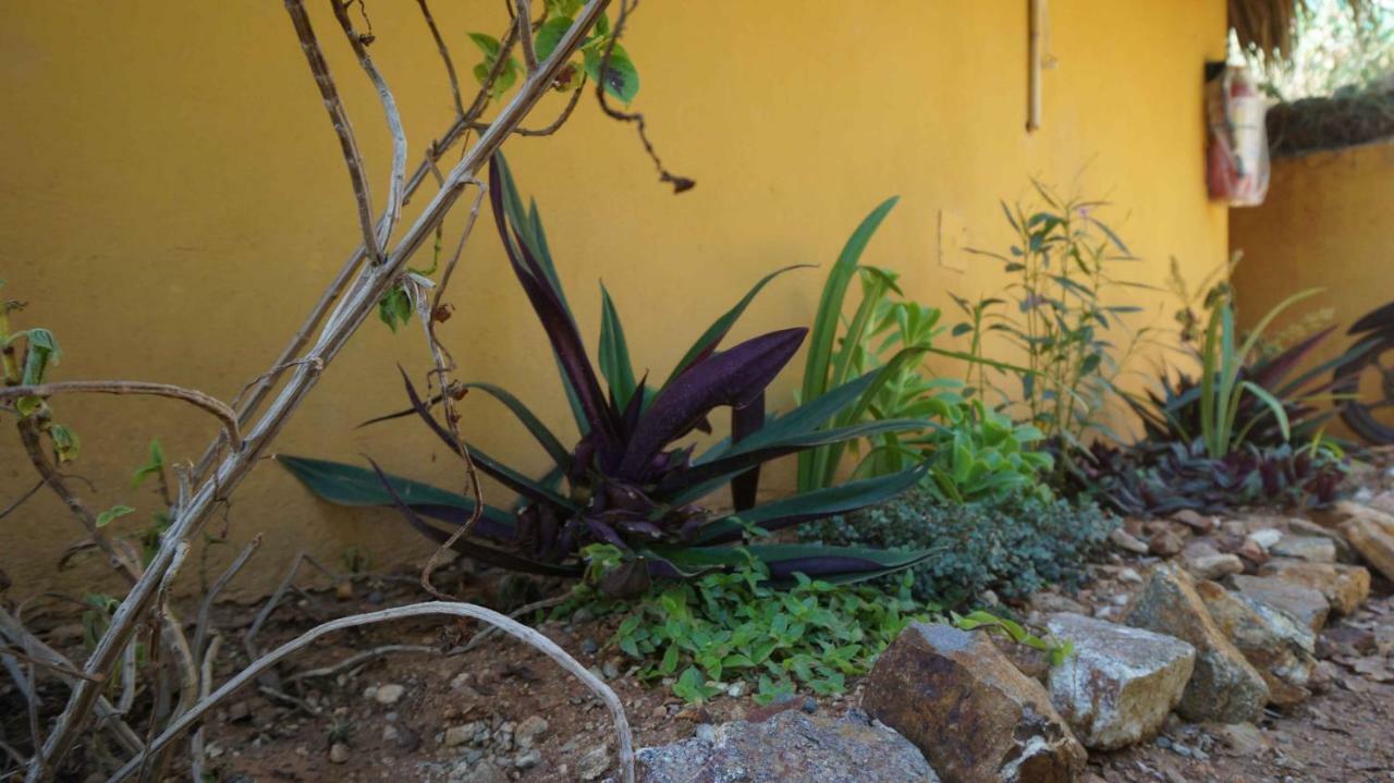 Casa Aditi Mazunte Exterior foto